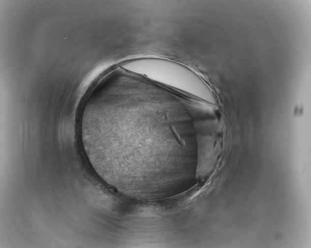 X0000091470200200709061825