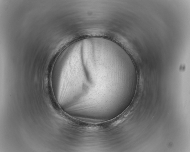 X0000091470202200709061825