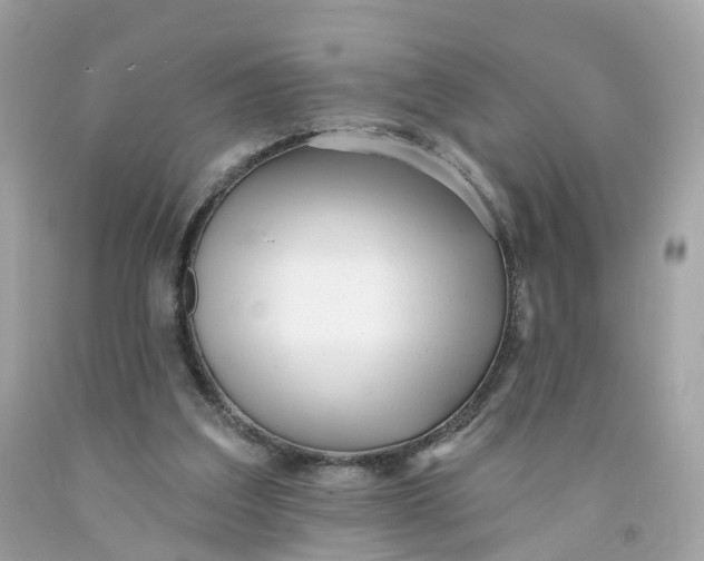 X0000091470203200709061825