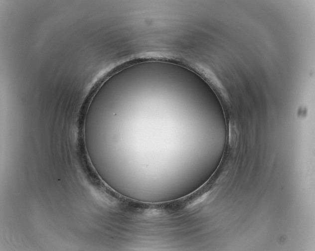 X0000091470204200709061825