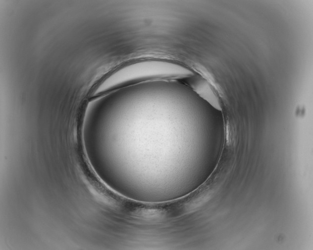 X0000091470205200709061825