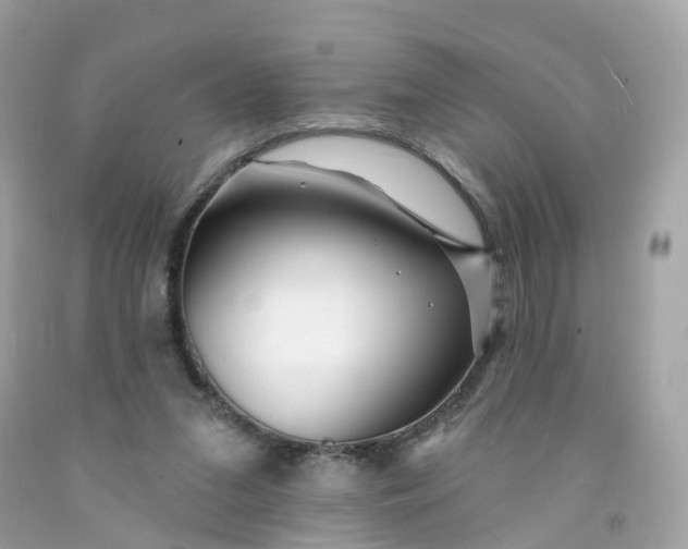 X0000091470207200709061825