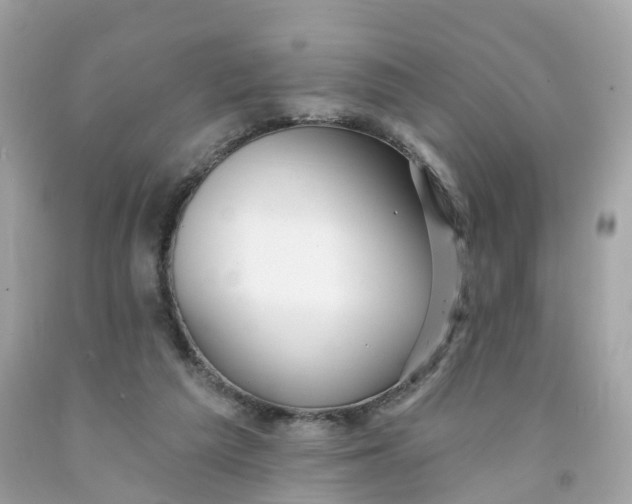 X0000091470209200709061825