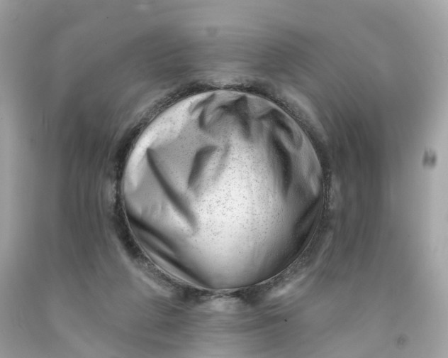 X0000091470210200709061825