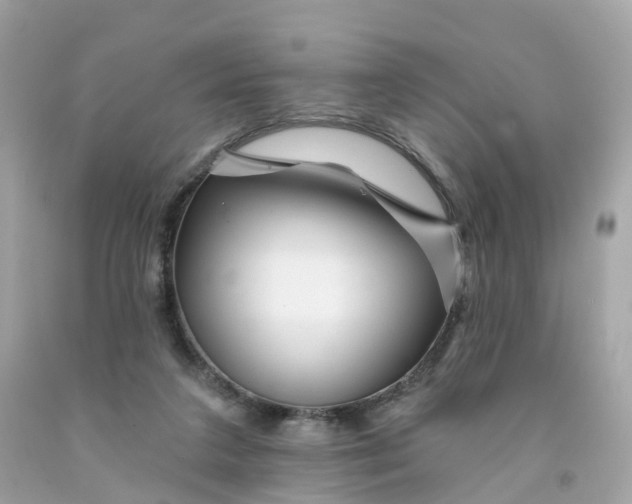 X0000091470211200709061825