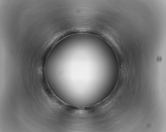 X0000091470212200709061825