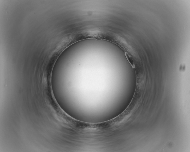 X0000091470213200709061825