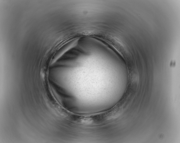 X0000091470214200709061825