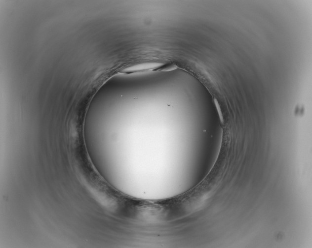 X0000091470215200709061825