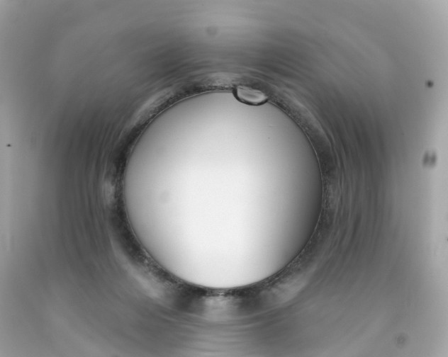 X0000091470216200709061825