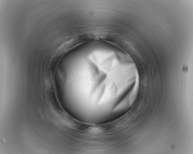 X0000091470218200709061825