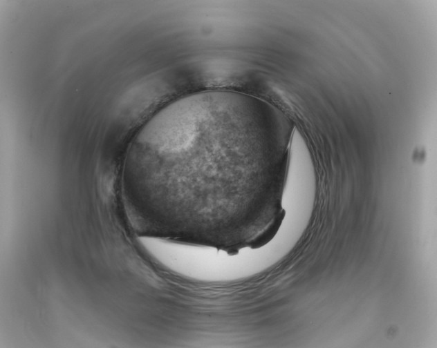 X0000091470219200709061825