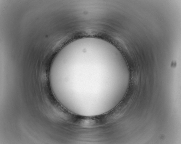 X0000091470220200709061825