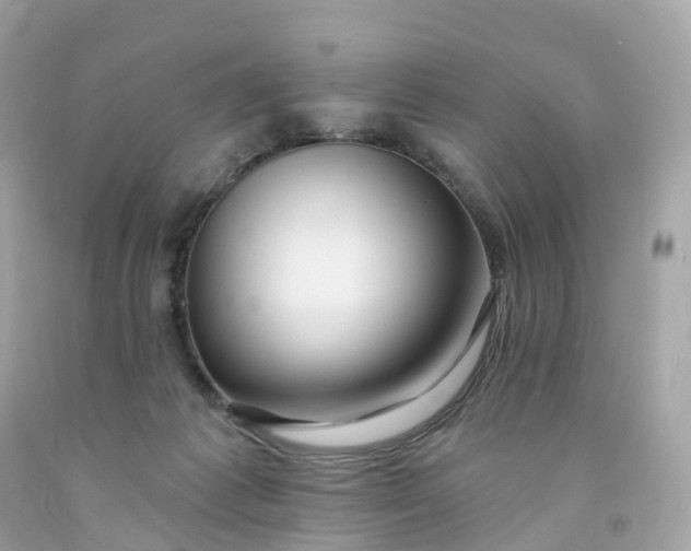 X0000091470221200709061825