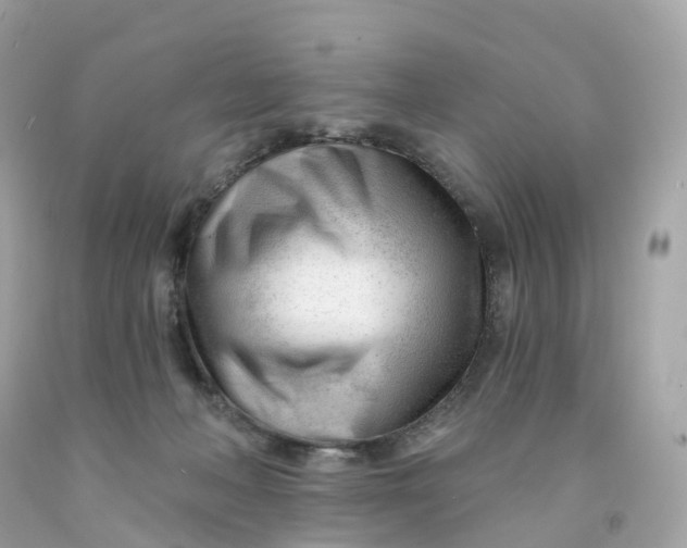 X0000091470222200709061825