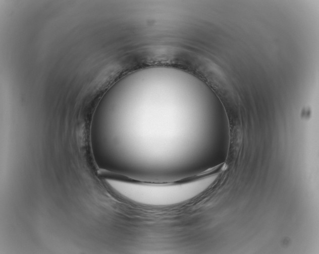 X0000091470224200709061825