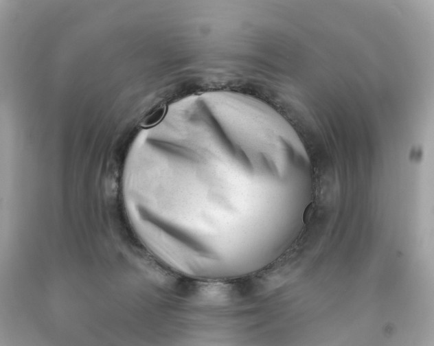 X0000091470226200709061825