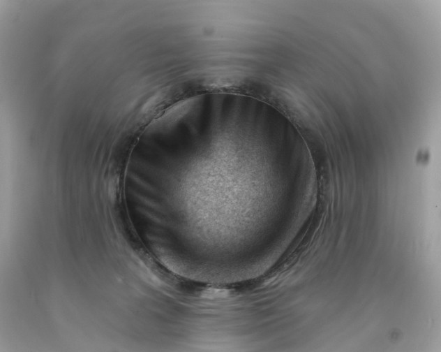 X0000091470227200709061825