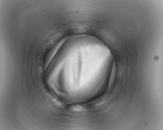 X0000091470230200709061825