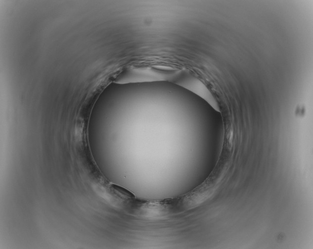 X0000091470231200709061825