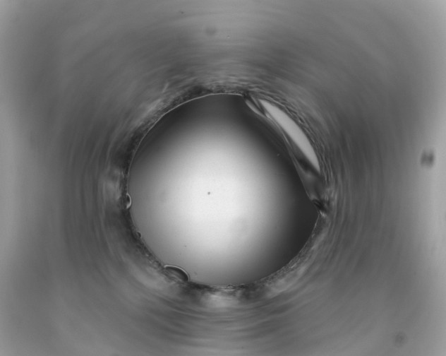 X0000091470232200709061825