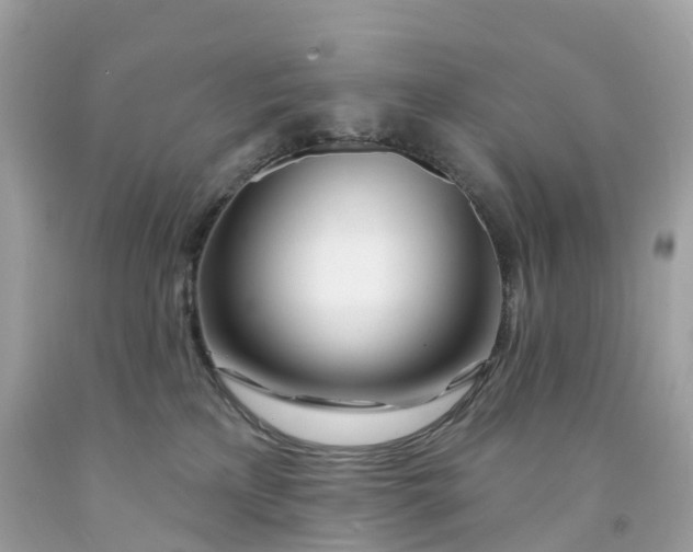 X0000091470233200709061825