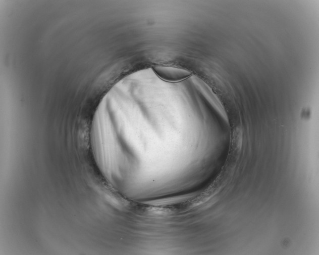 X0000091470234200709061825