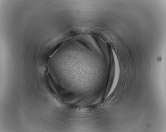 X0000091470235200709061825