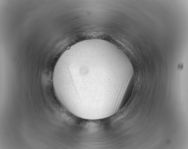 X0000091470236200709061825