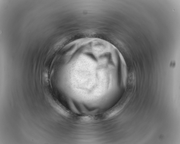 X0000091470238200709061825