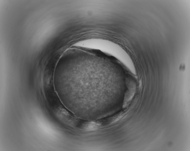 X0000091470239200709061824