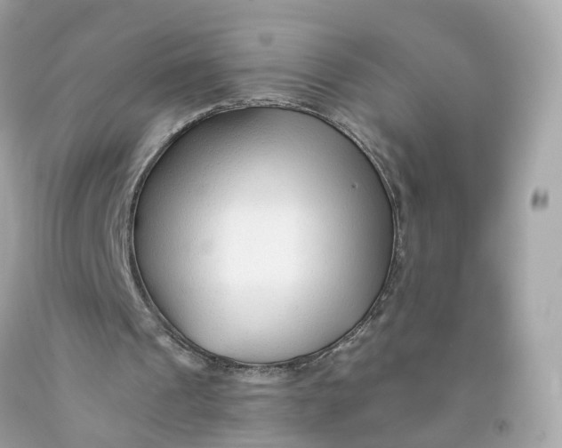 X0000091470241200709061824