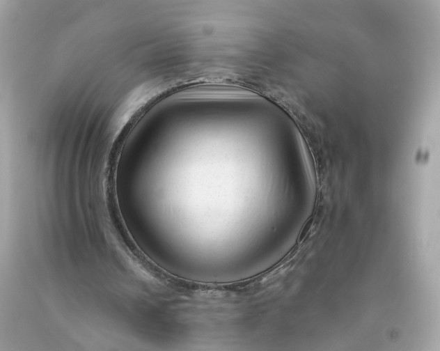 X0000091470242200709061824