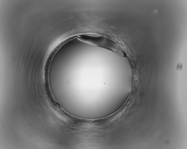 X0000091470246200709061824