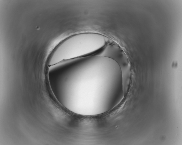 X0000091470248200709061824