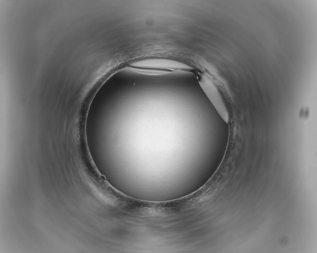 X0000091470250200709061824