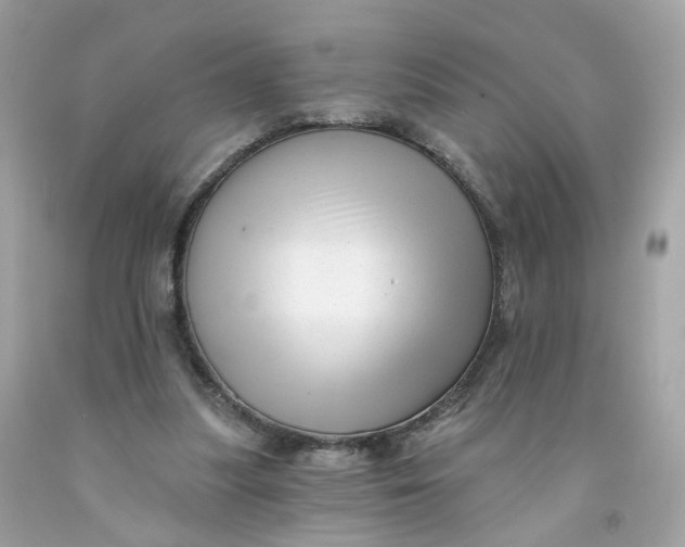 X0000091470251200709061824