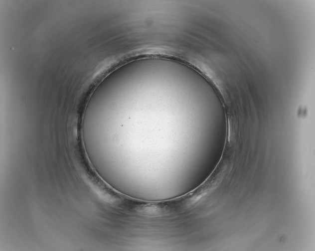 X0000091470253200709061824