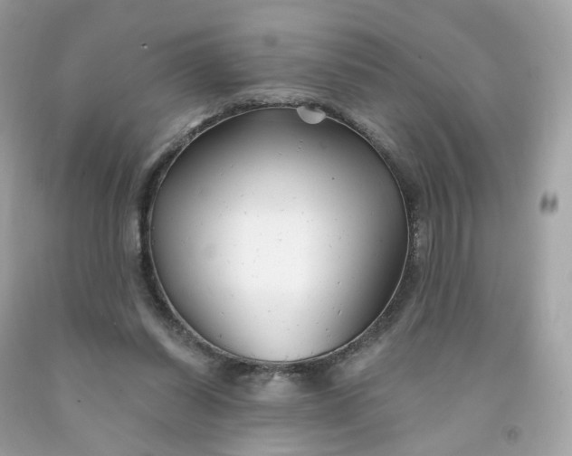 X0000091470254200709061824