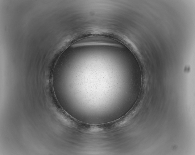 X0000091470257200709061824