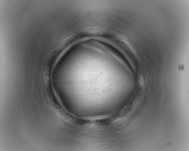 X0000091470259200709061824