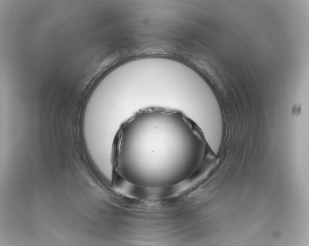 X0000091470260200709061824