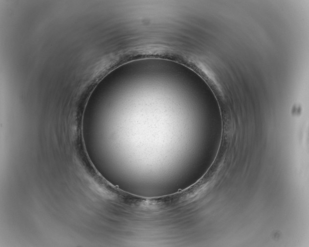 X0000091470261200709061824