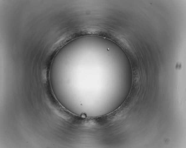 X0000091470262200709061824