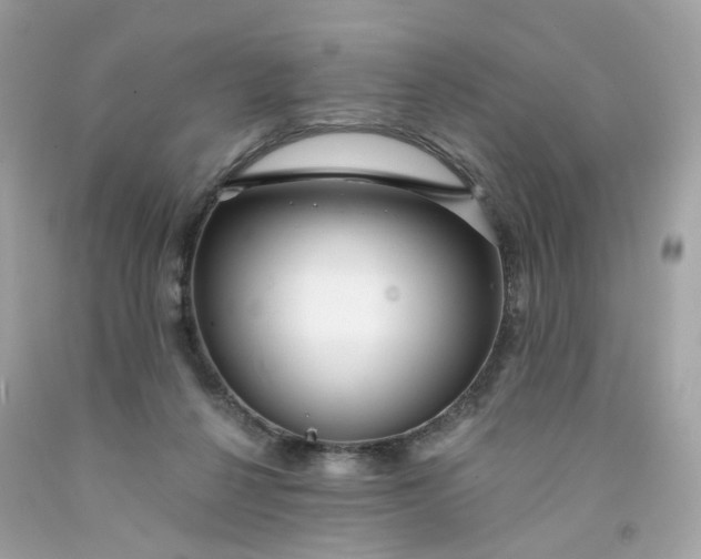 X0000091470264200709061824