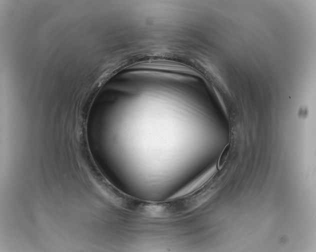 X0000091470265200709061824