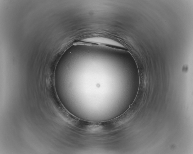 X0000091470266200709061824