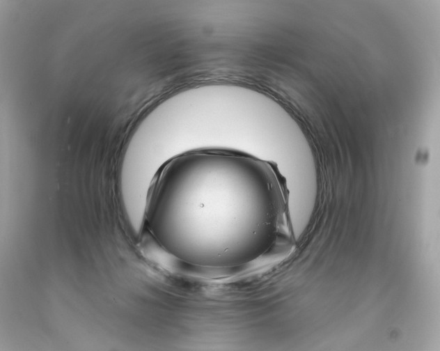 X0000091470268200709061824