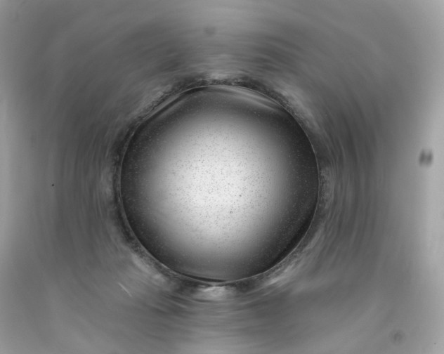 X0000091470269200709061824