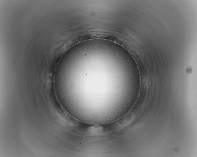 X0000091470271200709061824